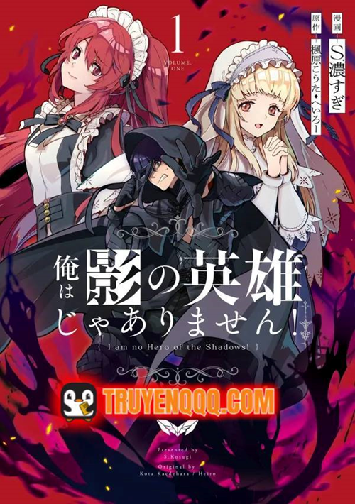 Ta Không Phải Anh Hùng Bóng Tối! đọc online